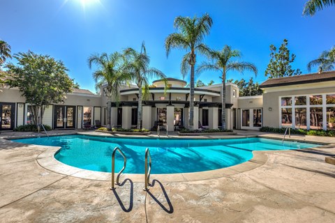 A large swimming pool in front of a building with palm trees.