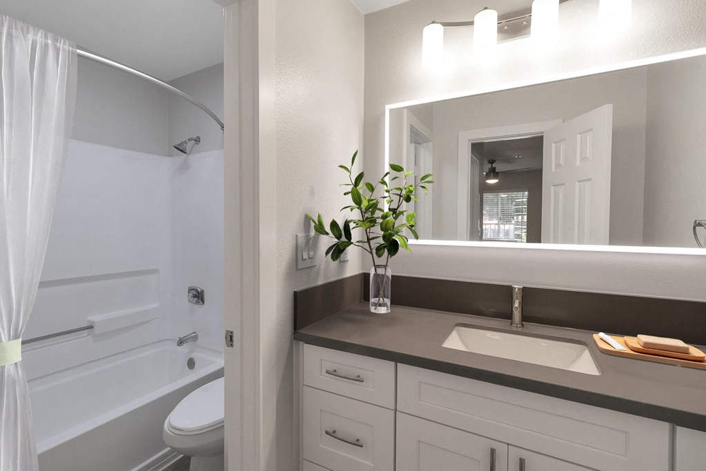 a bathroom with a sink and a mirror and a shower at Nobel Court, San Diego, CA
