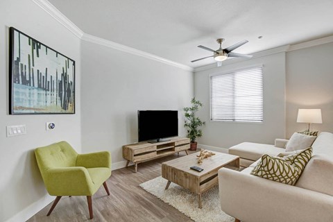 Living Room With TV at Apex Mission Valley, California