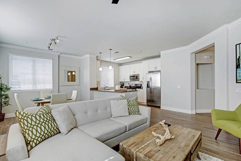 Spacious Living Room at Apex Mission Valley, San Diego