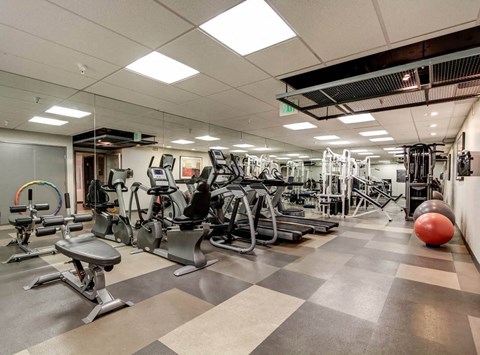 Fitness Center at El Greco Lofts, California
