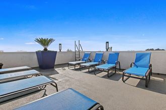 sundeck at Midvale Apartments, Los Angeles, 90024 - Photo Gallery 3