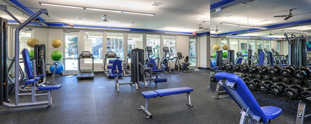 Fitness 3 at Milan Apartment Townhomes, Las Vegas, NV, 89183