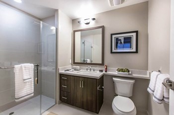 Renovated Bathroom at The Adler Apartments, Los Angeles, CA - Photo Gallery 27