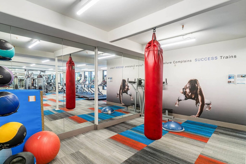 Two Level Fitness Center at The Adler Apartments, California