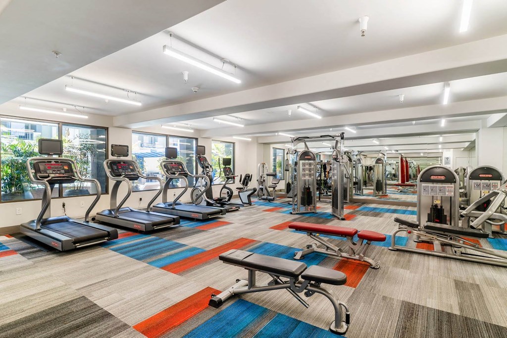 24-Hour Fitness Center With Free Weights at The Adler Apartments, Los Angeles