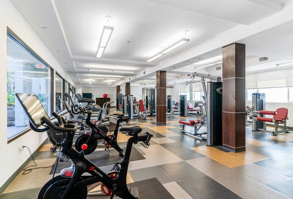 World-Class Fitness Center at The Adler Apartments, Los Angeles, California