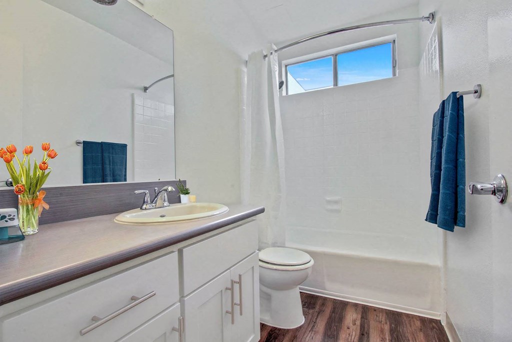 Bath at Rose Apartments, Los Angeles, California