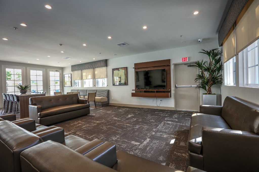 TV unit at The Villas at Monarch Beach, Dana Point, CA, 92629