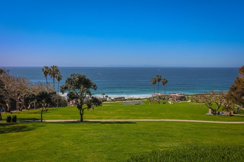Greenery at The Villas at Monarch Beach, Dana Point, California