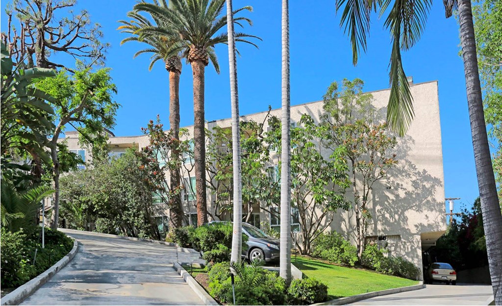 Trees at Waverly, California, 90039