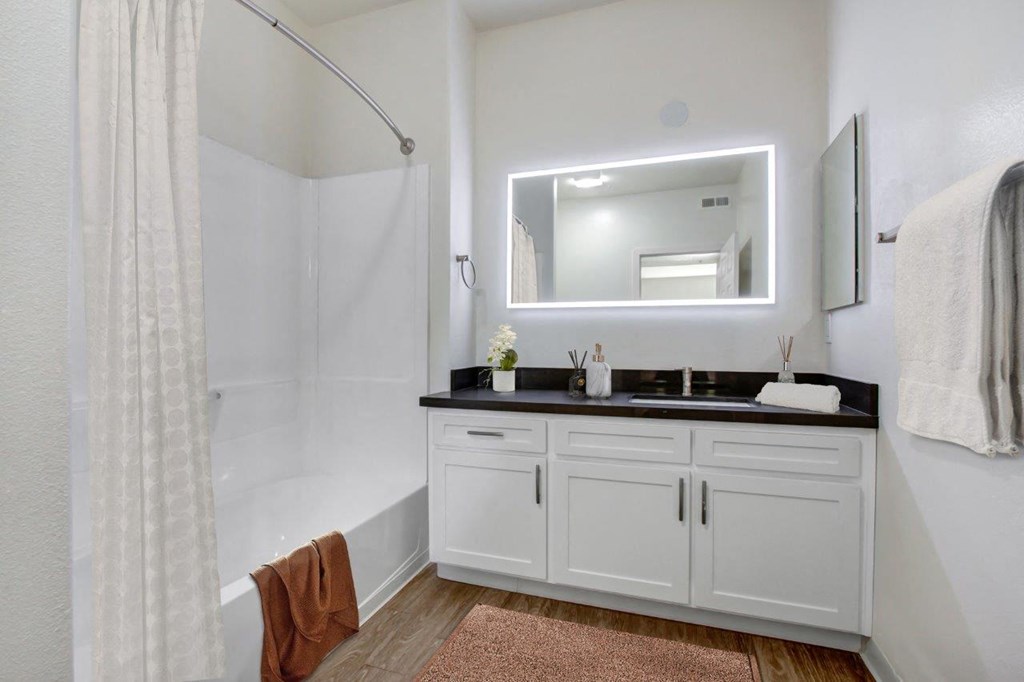 a bathroom with a sink and a mirror at Toluca Court, California, 91602