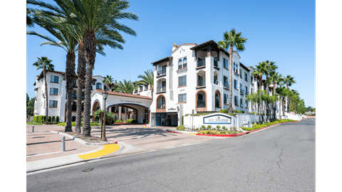 A street view of a building with palm trees in front.