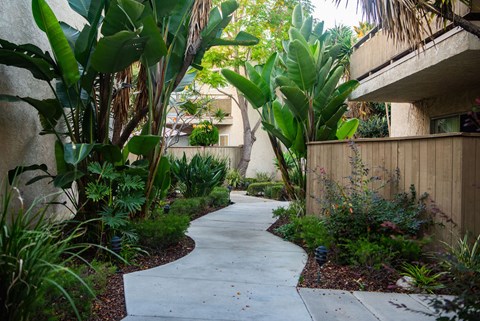 A concrete walkway leads through a lush garden.
