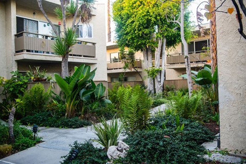 A garden with a pathway and a building in the background.