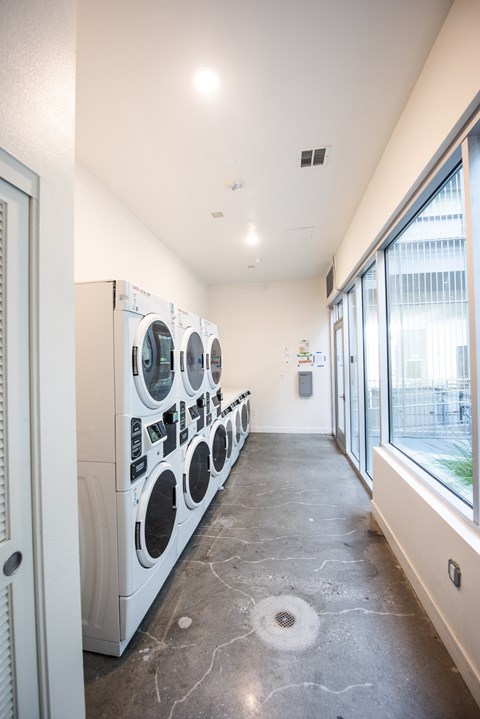 A row of washing machines and dryers in a laundry room.