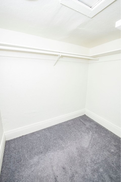 A room with a grey carpet and white walls.