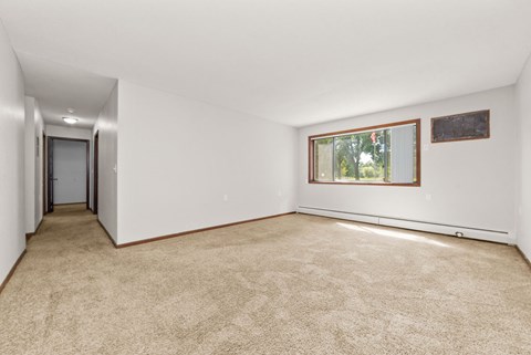 A room with a carpeted floor and a window showing greenery outside.
