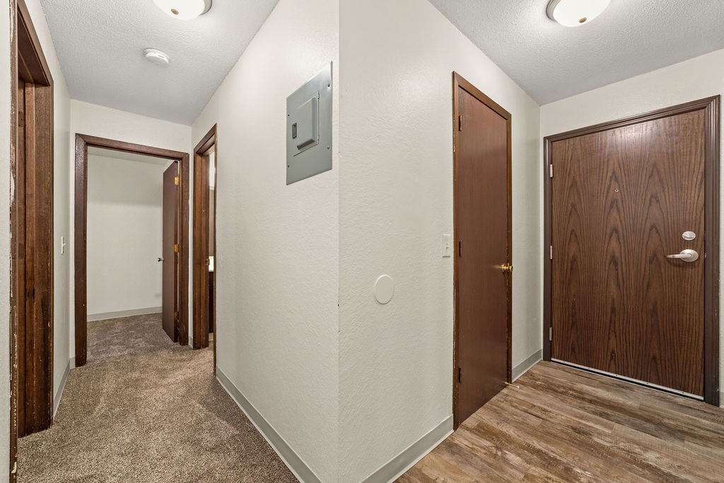 A hallway with a carpeted floor, two doors, and a light switch on the wall.