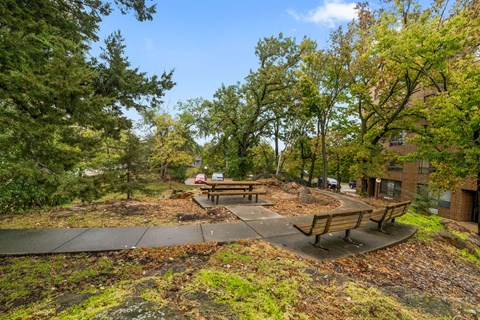 A park with a picnic table surrounded by trees.