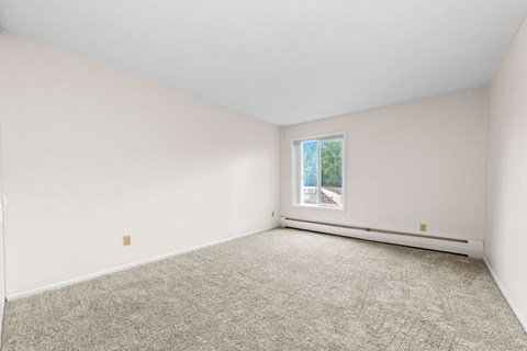 A room with a carpeted floor and a window showing a view of a street.