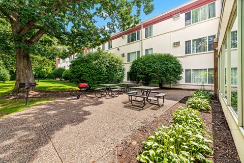 A tree-lined courtyard with picnic tables and a building in the background.