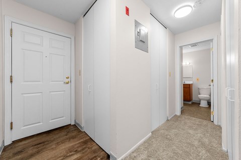 A white door with a gold handle is on the left.