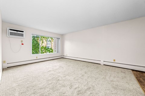 A room with a window and a carpet on the floor.