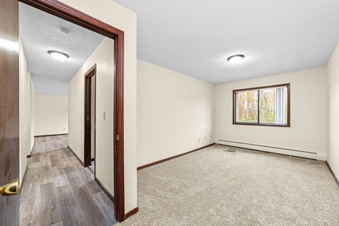 A room with a carpeted floor and a window with a view of trees outside.