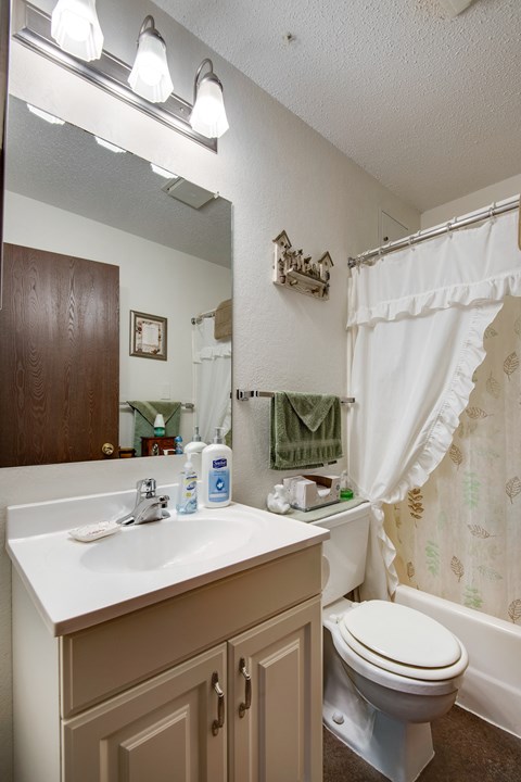an image of a bathroom with a toilet and a sink