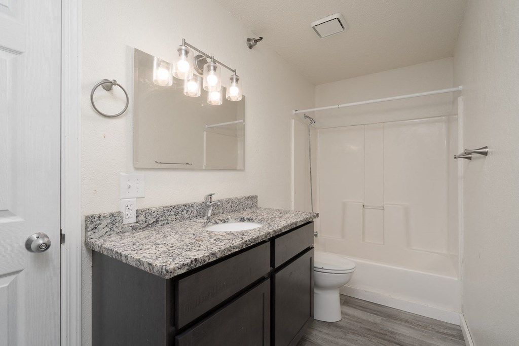 a bathroom with a sink and a toilet and a shower