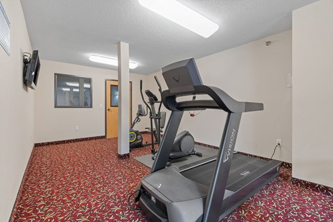 our gym is equipped with a treadmill and a tv
