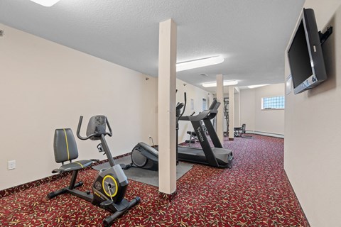 a gym with exercise equipment and a tv in a room