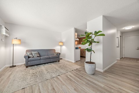A grey couch sits in a living room with a floor lamp and a potted plant.