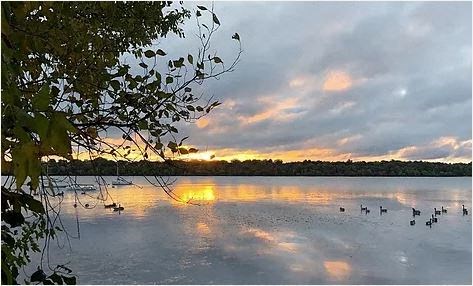 Lakeshore Apartments