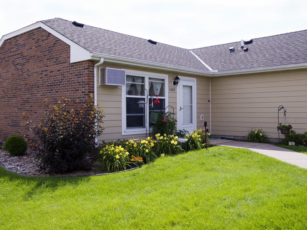 a front yard with yellow flowers and a house