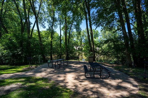 a picnic area in a park with benches and trees