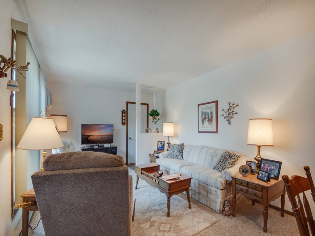 a living room with a couch and a chair