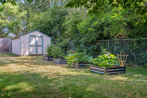 a garden with a shed and plants in it