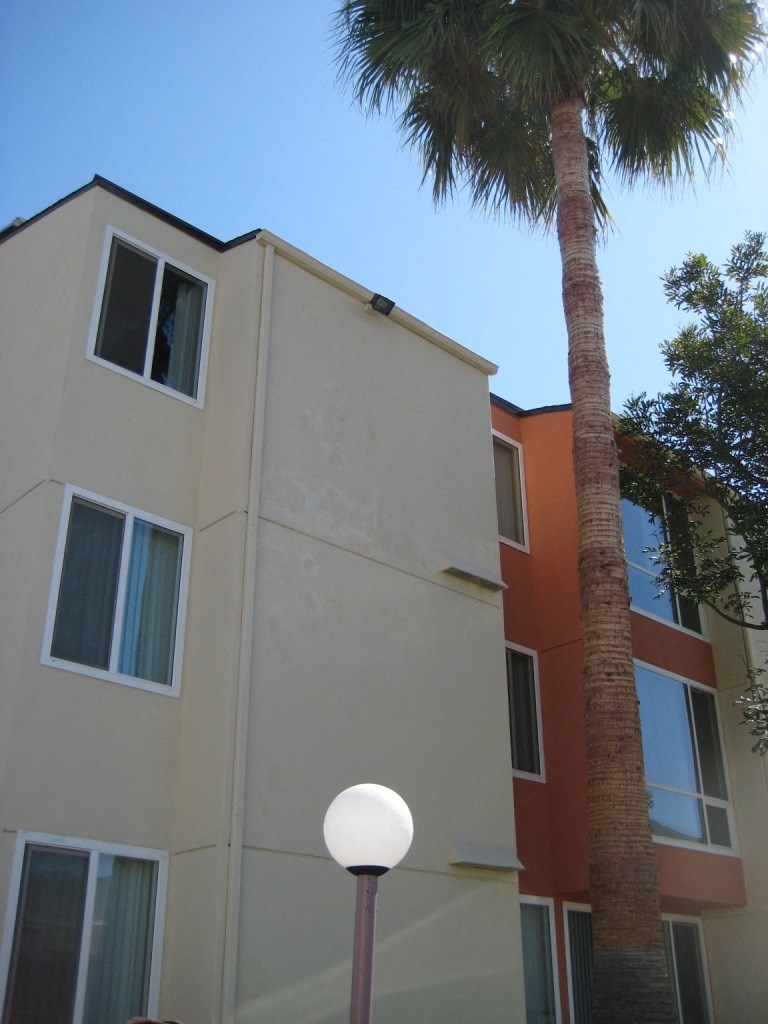a building with a palm tree in front of it