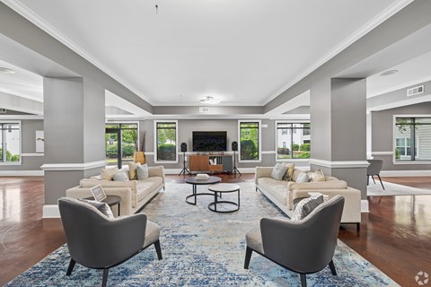 A living room with a grey sofa, a grey armchair and a blue rug.
