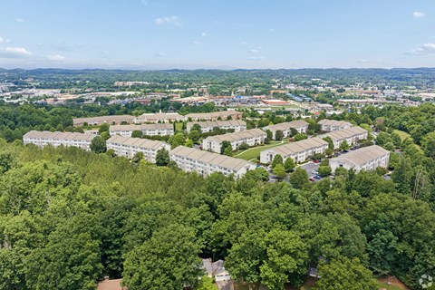 A bird's eye view of a residential area surrounded by trees.