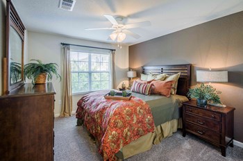 350 Amberleigh Bluff Way 1-3 Beds Apartment for Rent - Photo Gallery 2