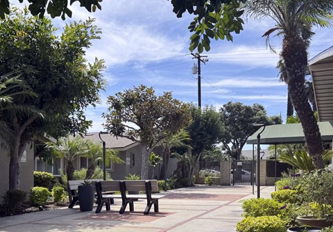 A sunny day at the park with benches and trees.