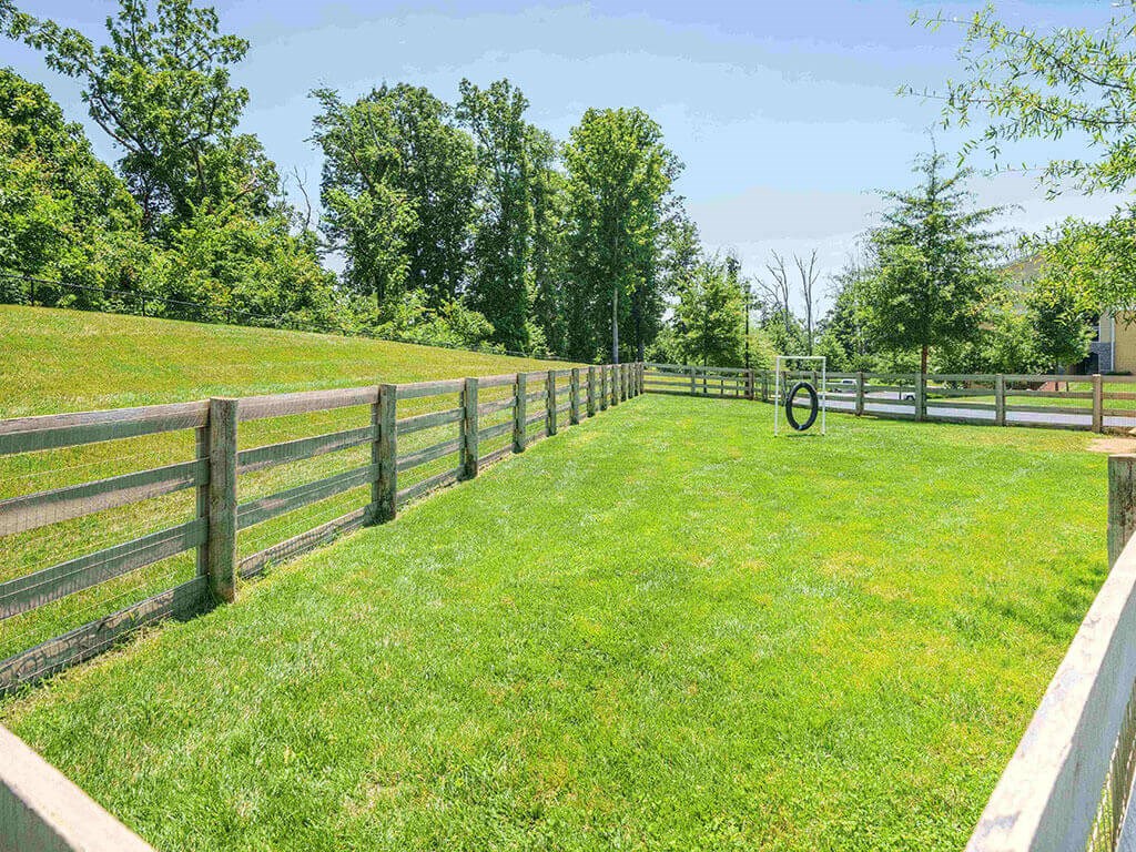 the yard is fenced in with a wooden fence