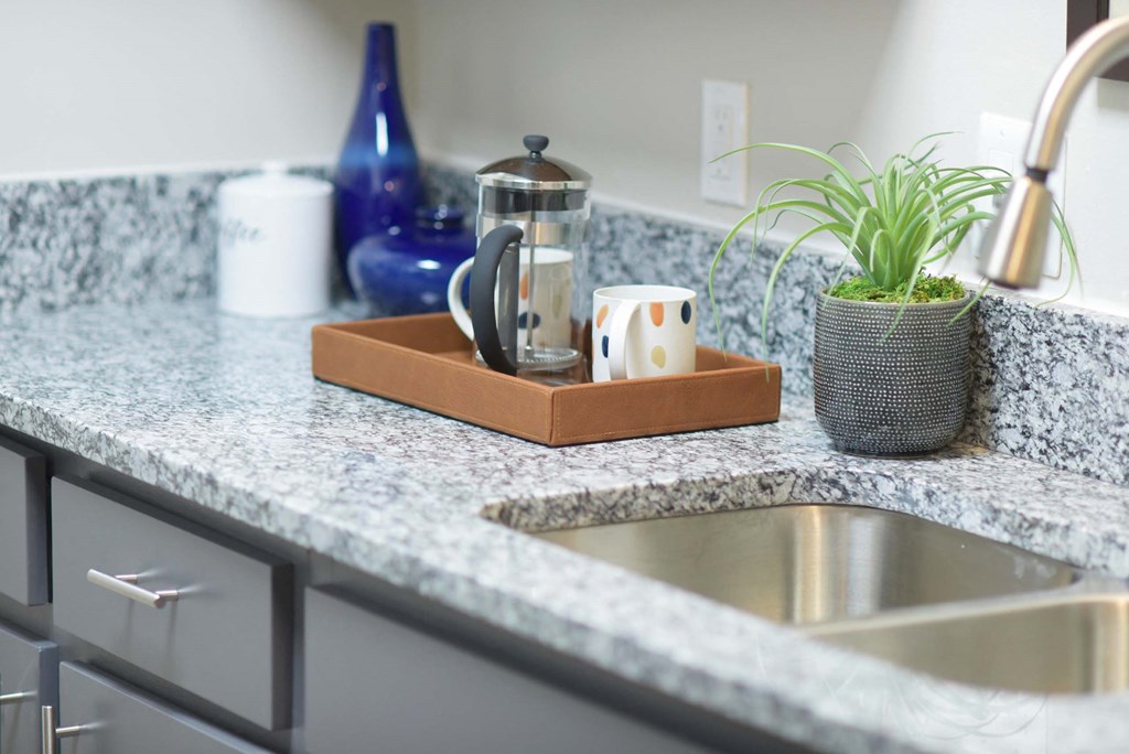 A kitchen counter with a sink, a coffee maker, and a potted plant.at Addison at Sutherland, Knoxville, 37909  