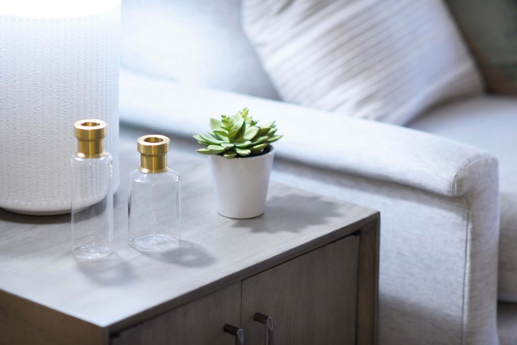 Two bottles and a plant on a table.at Addison at Sutherland, Knoxville, TN 37909  