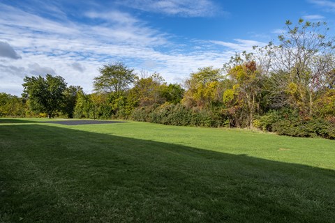 A large, open grassy field with trees in the background.