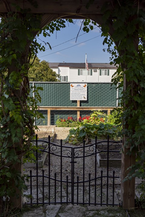 Winthrop Terrace - Bowling Green