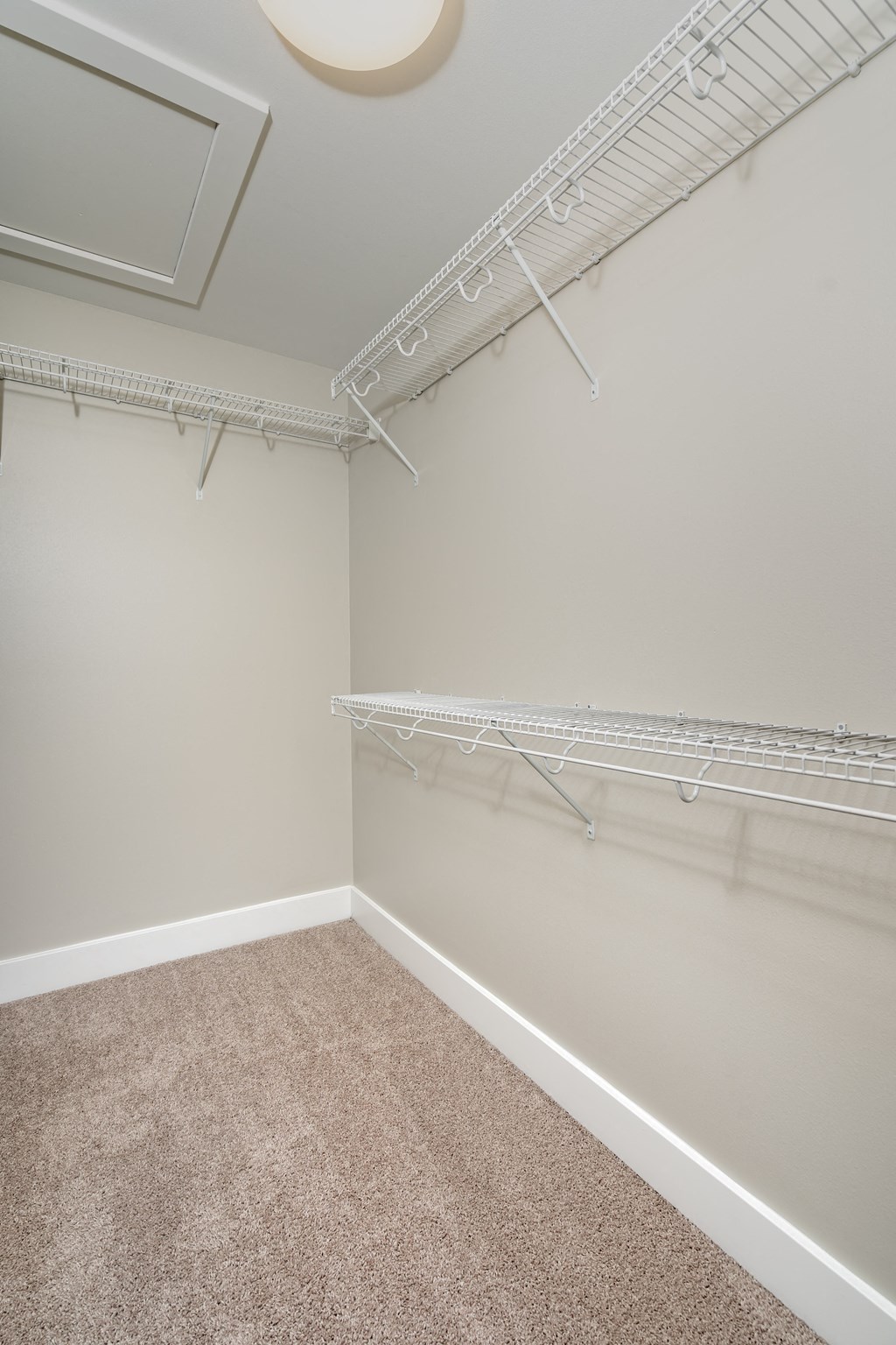 Empty room with a carpeted floor and a white wall.